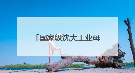国家级沈大工业母机集群对接会举办