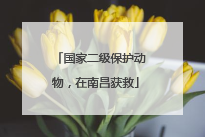 国家二级保护动物，在南昌获救