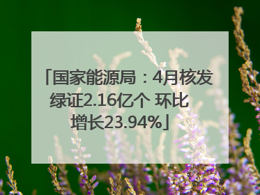 国家能源局：4月核发绿证2.16亿个 环比增长23.94%