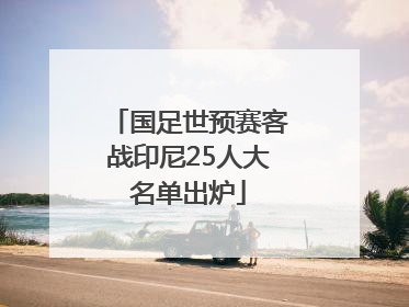 国足世预赛客战印尼25人大名单出炉