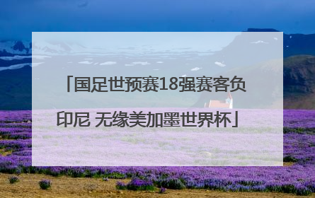 国足世预赛18强赛客负印尼 无缘美加墨世界杯