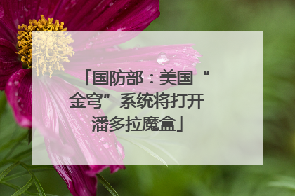 国防部：美国“金穹”系统将打开潘多拉魔盒