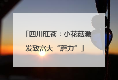 四川旺苍：小花菇激发致富大“蘑力”
