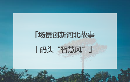 场景创新河北故事丨码头“智慧风”