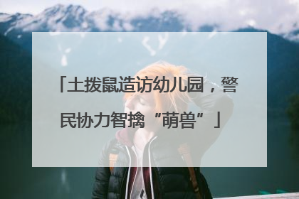 土拨鼠造访幼儿园，警民协力智擒“萌兽”