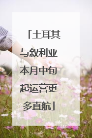 土耳其与叙利亚本月中旬起运营更多直航