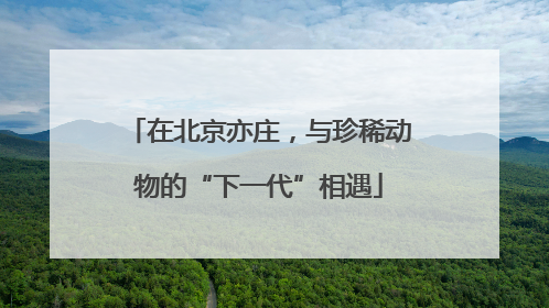 在北京亦庄，与珍稀动物的“下一代”相遇