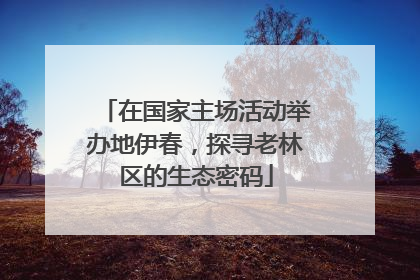 在国家主场活动举办地伊春，探寻老林区的生态密码