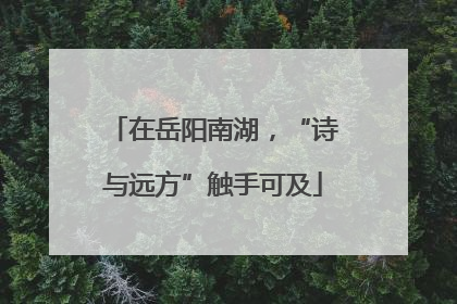 在岳阳南湖，“诗与远方”触手可及