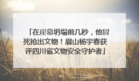 在崖墓坍塌前几秒，他冒死抢出文物！眉山杨宇春获评四川省文物安全守护者
