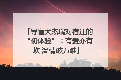 导盲犬杰瑞对宿迁的“初体验”：有爱亦有坎 温情破万难