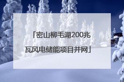 密山柳毛湖200兆瓦风电储能项目并网