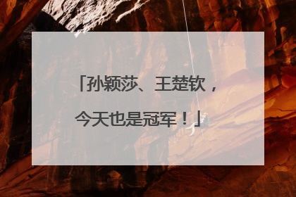 孙颖莎、王楚钦，今天也是冠军！
