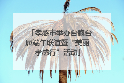 孝感市举办台胞台属端午联谊暨“美丽孝感行”活动
