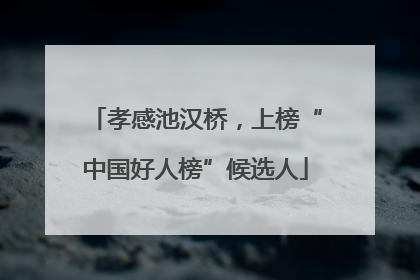 孝感池汉桥，上榜“中国好人榜”候选人