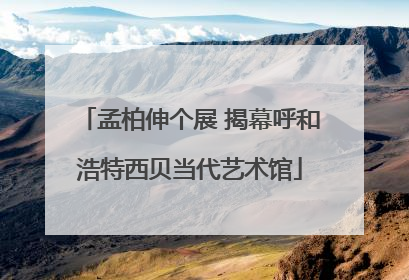 孟柏伸个展 揭幕呼和浩特西贝当代艺术馆