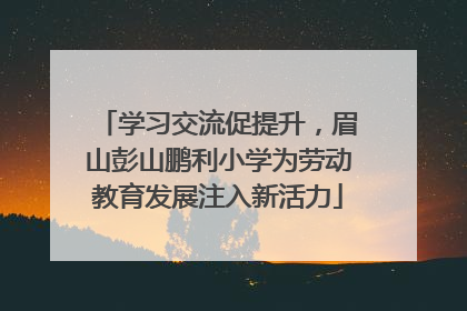 学习交流促提升，眉山彭山鹏利小学为劳动教育发展注入新活力