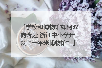 学校和博物馆如何双向奔赴 浙江中小学开设“一平米博物馆”