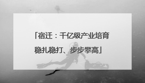 宿迁：千亿级产业培育稳扎稳打、步步攀高