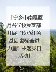 宁乡市南雅蓝月谷学校党支部开展“传承红色基因 凝聚奋进力量”主题党日活动