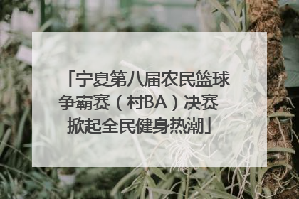 宁夏第八届农民篮球争霸赛（村BA）决赛掀起全民健身热潮