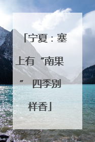 宁夏：塞上有“南果” 四季别样香
