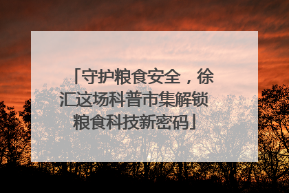 守护粮食安全，徐汇这场科普市集解锁粮食科技新密码