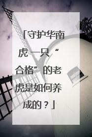 守护华南虎 一只“合格”的老虎是如何养成的？