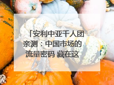 安利中亚千人团亲测：中国市场的流量密码 藏在这些细节里