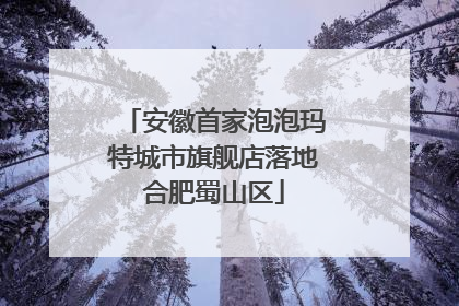 安徽首家泡泡玛特城市旗舰店落地合肥蜀山区