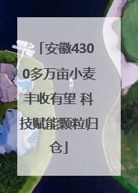安徽4300多万亩小麦丰收有望 科技赋能颗粒归仓