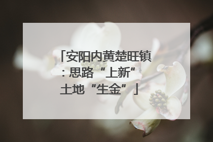 安阳内黄楚旺镇：思路“上新” 土地“生金”
