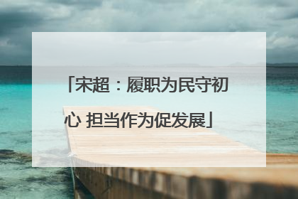 宋超：履职为民守初心 担当作为促发展