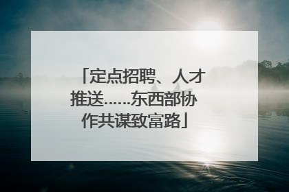 定点招聘、人才推送……东西部协作共谋致富路