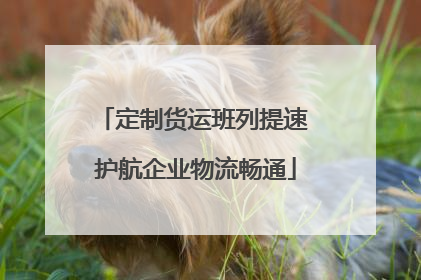 定制货运班列提速 护航企业物流畅通