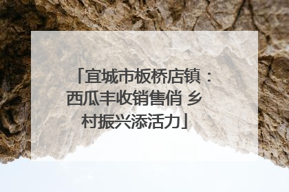 宜城市板桥店镇：西瓜丰收销售俏 乡村振兴添活力