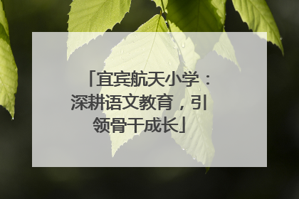 宜宾航天小学：深耕语文教育，引领骨干成长
