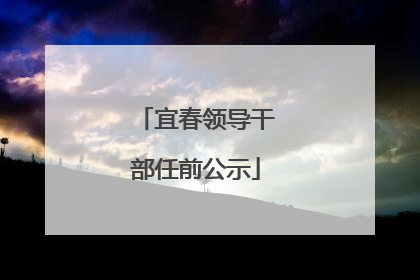 宜春领导干部任前公示