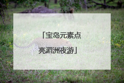 宝岛元素点亮湄洲夜游