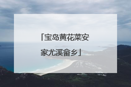 宝岛黄花菜安家尤溪畲乡