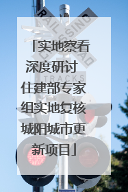 实地察看深度研讨 住建部专家组实地复核城阳城市更新项目