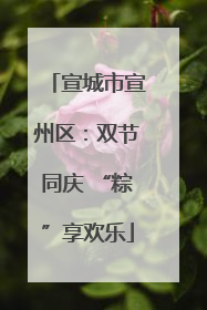 宣城市宣州区：双节同庆 “粽”享欢乐