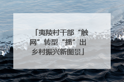夷陵村干部“触网”转型“播”出乡村振兴新图景