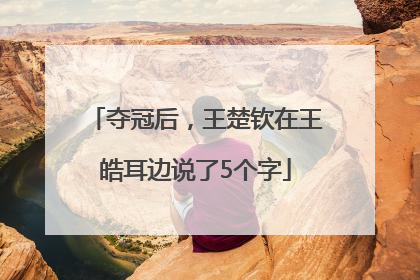 夺冠后，王楚钦在王皓耳边说了5个字