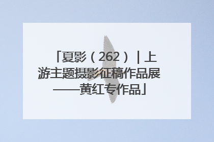 夏影（262）｜上游主题摄影征稿作品展——黄红专作品
