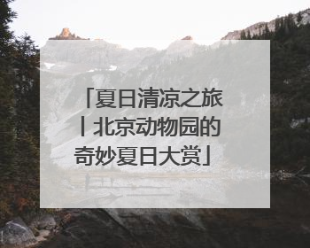 夏日清凉之旅丨北京动物园的奇妙夏日大赏