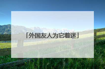 外国友人为它着迷