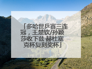 多哈世乒赛三连冠，王楚钦/孙颖莎收下兹·赫杜塞克杯复刻奖杯