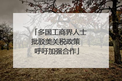 多国工商界人士批驳美关税政策 呼吁加强合作