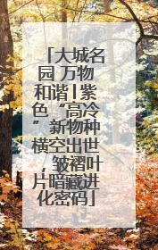 大城名园 万物和谐│紫色“高冷”新物种横空出世，皱褶叶片暗藏进化密码